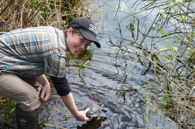 Sadie-release-turtle