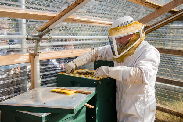 An inmate bee keeper at Cedar Creek Corrections Center demonstrates working with the beehive to an SPP tour group. Photo by Shauna Bittle.
