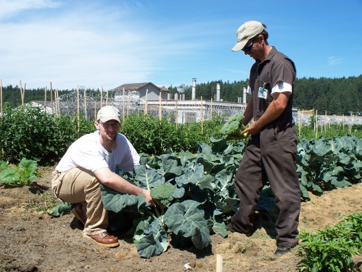Inmates at the McNeil Island Corrections Center show off their first-year broccoli (photo: Laurie Ballew).