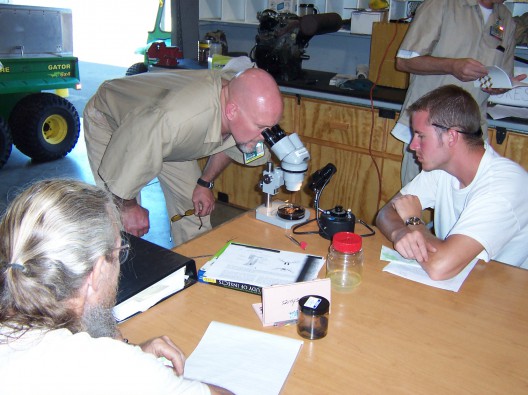 Michael Nelson (center) examines the anatomy of bees during a class at the Stafford Creek Corrections Center. Photo: Doug Raines. 