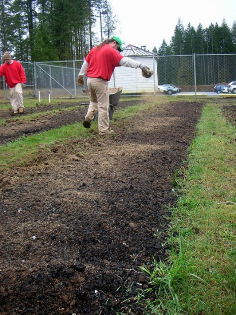 Inmates applying a blend of organic fertilizers to the beds.