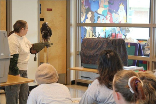 Wildlife rehabilitation specialist Lynne Weber and red-tailed hawk Yukon answered inmate questions about West Sound Wildlife Shelter. Photo by Rachel Stendahl.