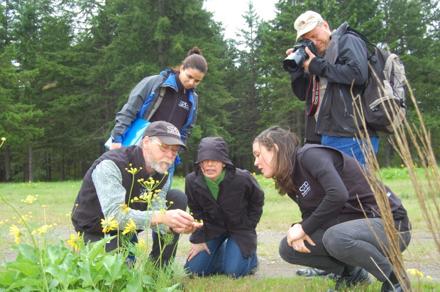 SPP's Carl Elliott shows Drissia Ras, Julie Vanneste, Eric Heinitz, and Fiona Edwards lomatium (Lomatium utriculatum). Photo by Jaal Mann.