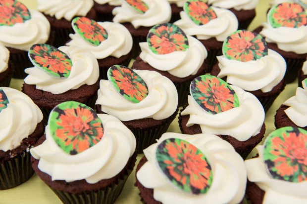 Best cupcakes ever! Bri Morningred and x bakery collaborated to produce native plant-decorated cupcakes for the celebration. They also tasted great!