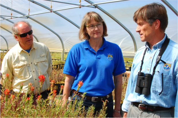 David Hays (WDFW), Karla Drewson (USFWS), and Ted Thomas (USFWS) discuss Castilleja miniata (giant red Indian paintbrush) plants for prairie propagation.