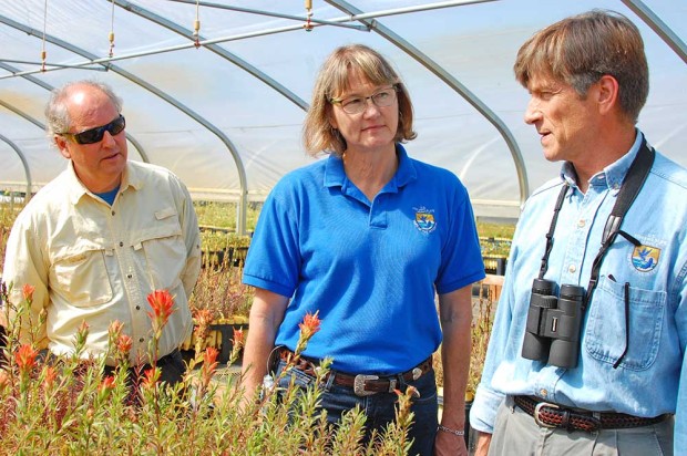 David Hays (WDFW), Karla Drewson (USFWS), and Ted Thomas (USFWS) discuss giant red Indian paintbrush (Castilleja miniata) plants for prairie propagation. Photo by Jaal Mann.