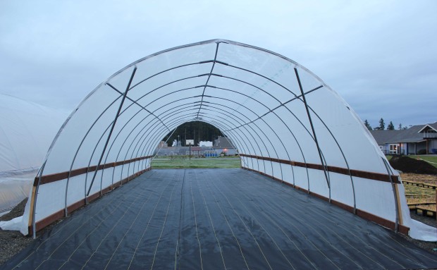 This third hoop house at WCCW differs from the first two in that it does not have doors; this will allow us to grow plants who like things a little colder. 