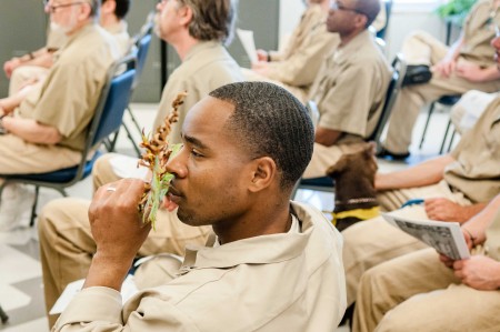 As the author says, smelling something green can be a rare delight for those incarcerated; this image from a 2012 lecture at Stafford Creek Corrections Center. Photo by Shauna Bittle. 