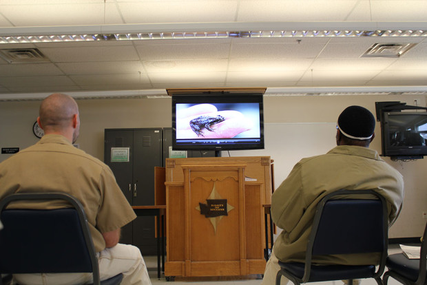 The class watches the 2009 video on SPP, a gorgeous piece by Benj Drummond and Sara Joy Steele that included video and many images from SCCC--including corrections staff who were in the room while it played. It was gratifying and surreal to watch it with an inmate audience. 