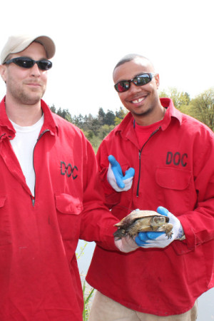 Turtle technicians Timothy Nuss and  Jamar Glenn on turtle release day. 
