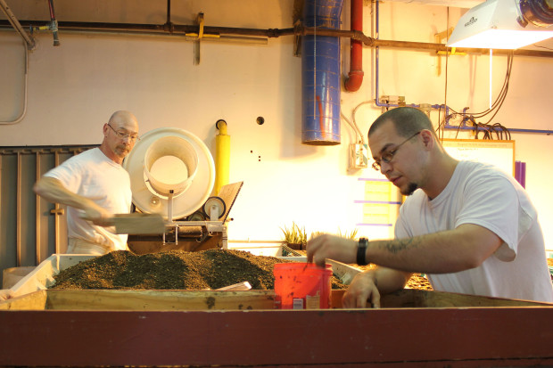 Two technicians in the worm program at Monroe remove worms from worm castings; their motto is "No worm left behind." Photo by Sadie Gilliom.