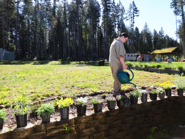 A technician waters flowers that will be placed in TCB habitats for captive rearing. Photo by Christina Stalnaker. 