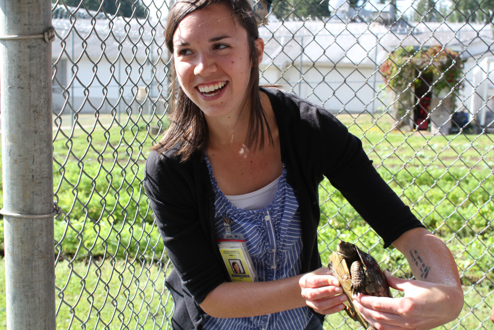SPP Program Coordinator Andrea Martin oversaw the start of the turtle program, and the first turtle at Cedar Creek was named in her honor--here Andrea meets Andrea for the first time. Photo by SPP staff. 