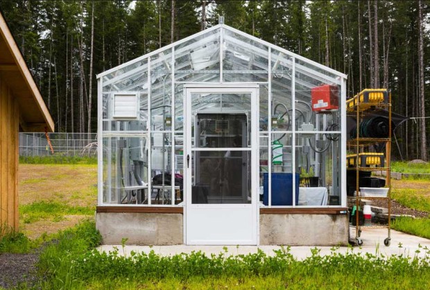 The butterfly lab at MCCCW is commonly called the "greenhouse." It was built in 2011 with funding support from Joint Base Lewis-McChord and US Fish and Wildlife Service. Photo by Benj Drummond and Sara Joy Steele.