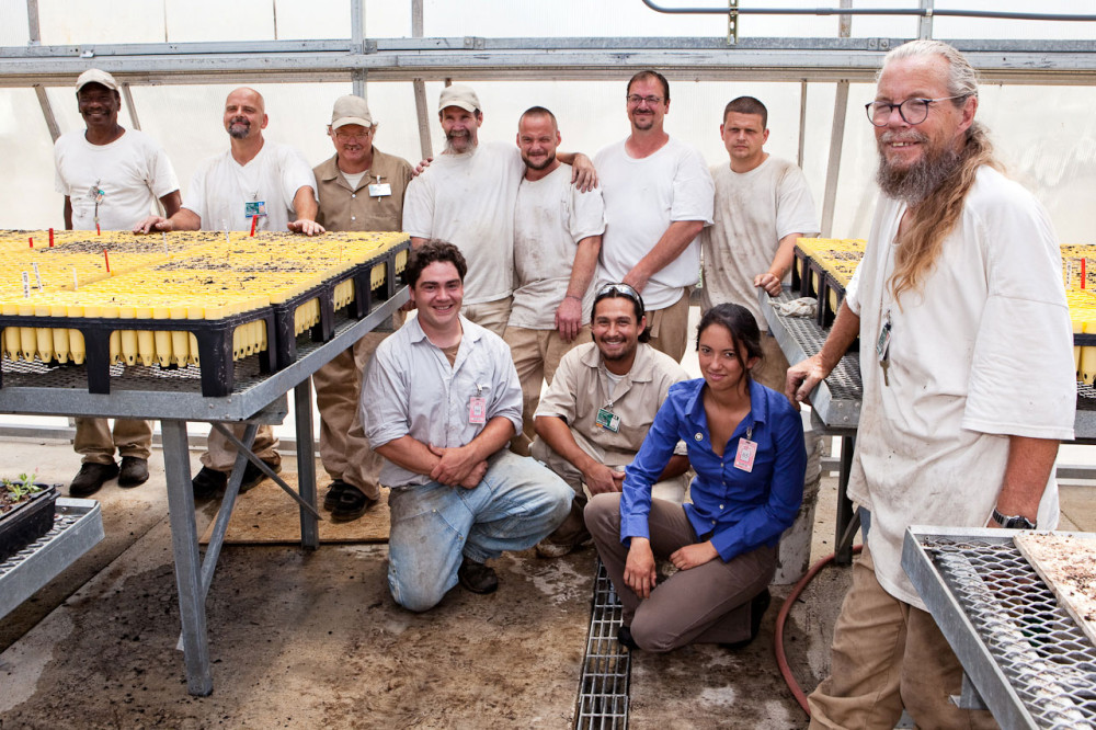 SPP's first native plant nursery was established at Stafford Creek Corrections Center in 2009. Photo by Benj Drummond. 