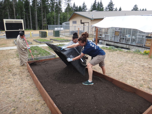 Lindsey Hamilton, Taylor's Checkerspot Program Coordinator, and butterfly technician Eva Ortiz unload a wheelbarrow full of soil.
