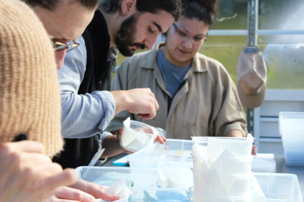 Butterfly technicians work with program coordinator Seth Dorman during the spring wakeup in 2016. Photo by SPP butterfly technician.
