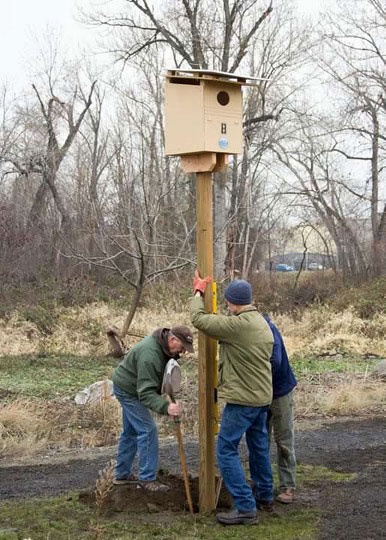 Blue Mountain Audubon installs a barn owl nest box in a Walla Walla area vineyard. 
