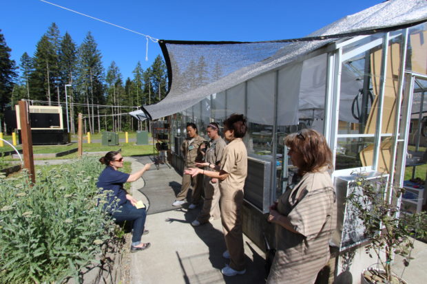Julia Low with the Oregon Zoo chatting butterfly husbandry with the technicians at Mission Creek. 