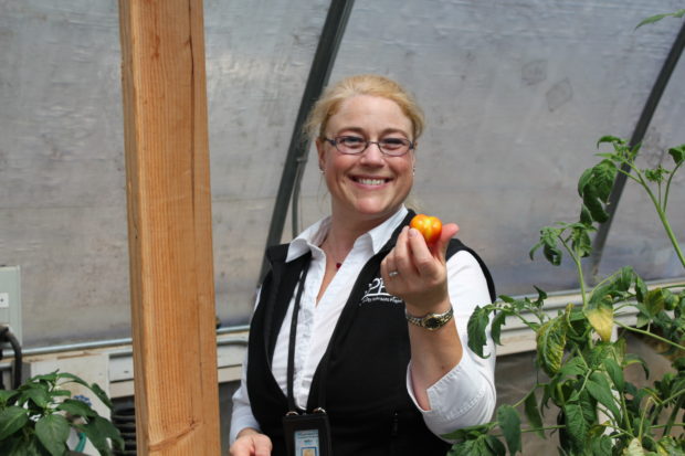 Ms. Sibley and the Tomato