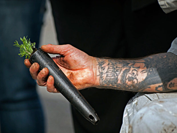 Sagebrush-and-tattoo-arm