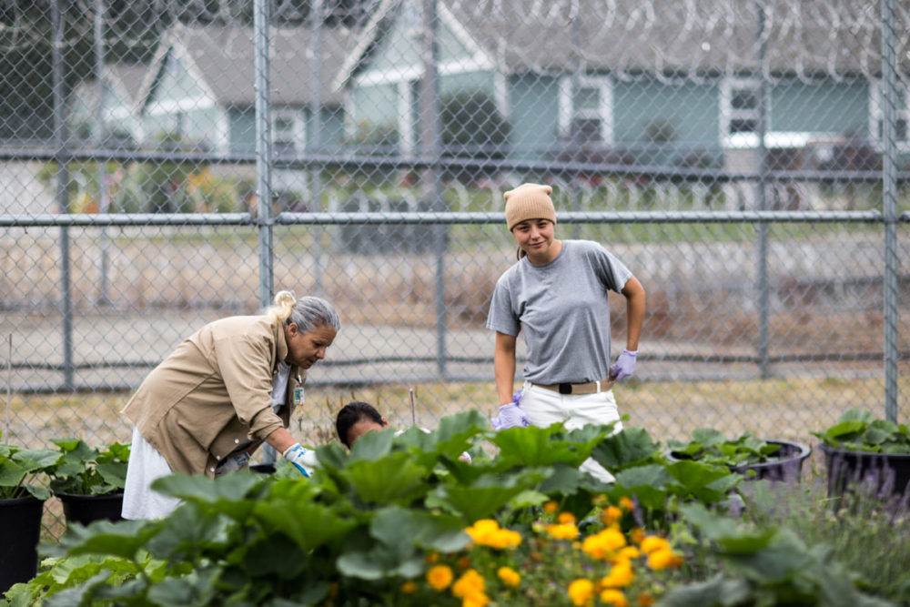 Women tend one of the gardens at Washington Corrections Center for Women. Photo by Ricky Osborne. 