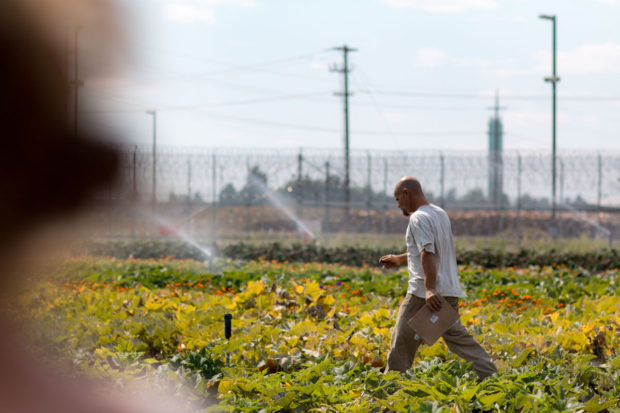 The main garden at Airway Heights Corrections Center