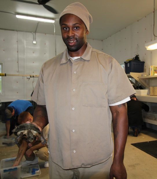 Mr. Hill, a Turtle Technician at Larch, getting ready to put a new turtle in her tank.