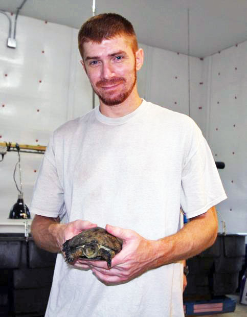 Mr. Goff, a Turtle Technician at Larch, getting ready to put a new turtle in her tank.
