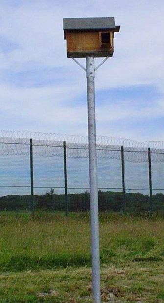 One pole prison