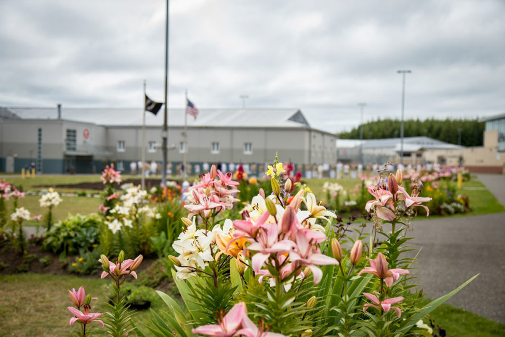 Lilies bloom at Stafford Creek Corrections Center in Aberdeen, WA. Photo by Ricky Osborne.