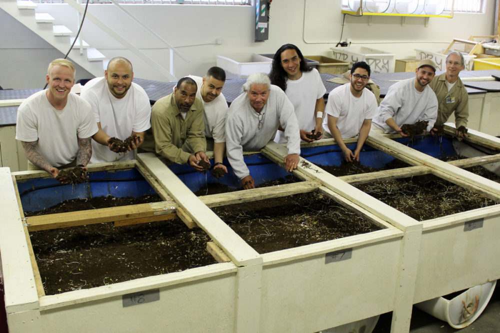 Monroe Correctional Complex hosts a world-class composting program within Washington State Reformatory. Incarcerated technicians started the program in 2010 with a literal handful of worms; since then, with great support from prison staff and leadership, they have grown the program to process 20,000 lbs. of food waste each month, with three kinds of "bugs" including 8.5 million worms. Photo by Erica Benoit.