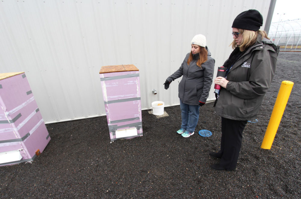 Bee program staff sponsors Dorothy Trainer and Gena Brock describe winterizing the hives at Coyote Ridge Corrections Center. Photo by Bethany Shepler. 