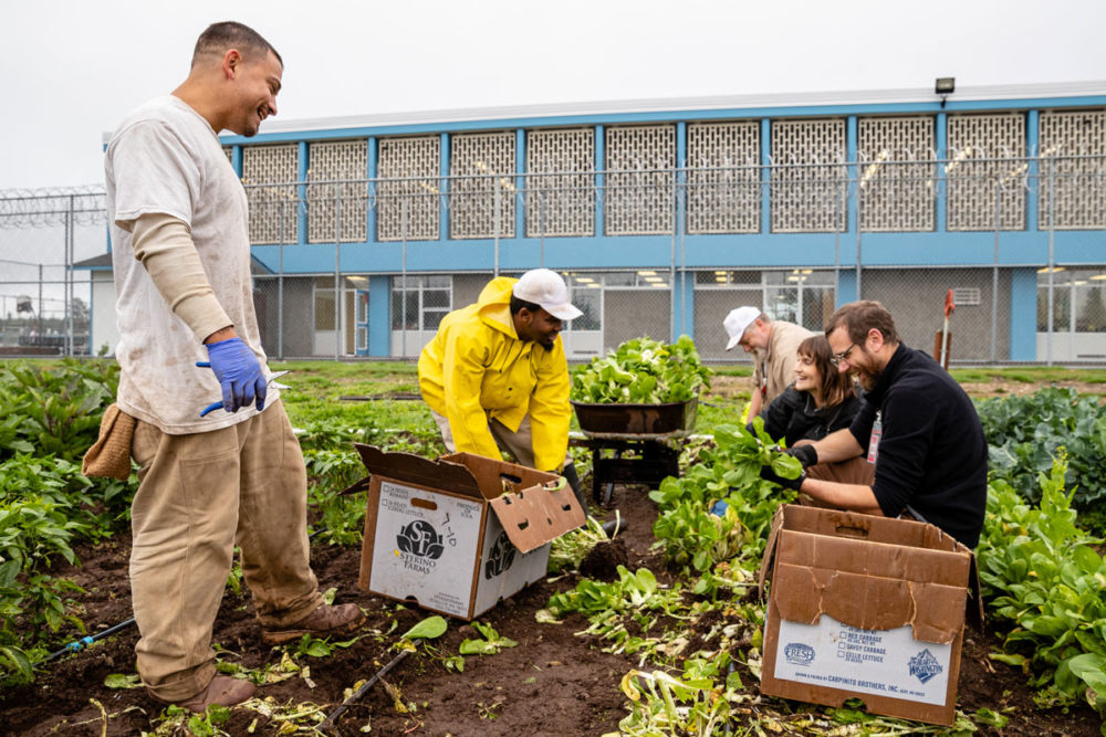For several days in 2019, visitors from France corrections worked alongside the gardening crew at Washington Corrections Center. Photo by Ricky Osborne. 