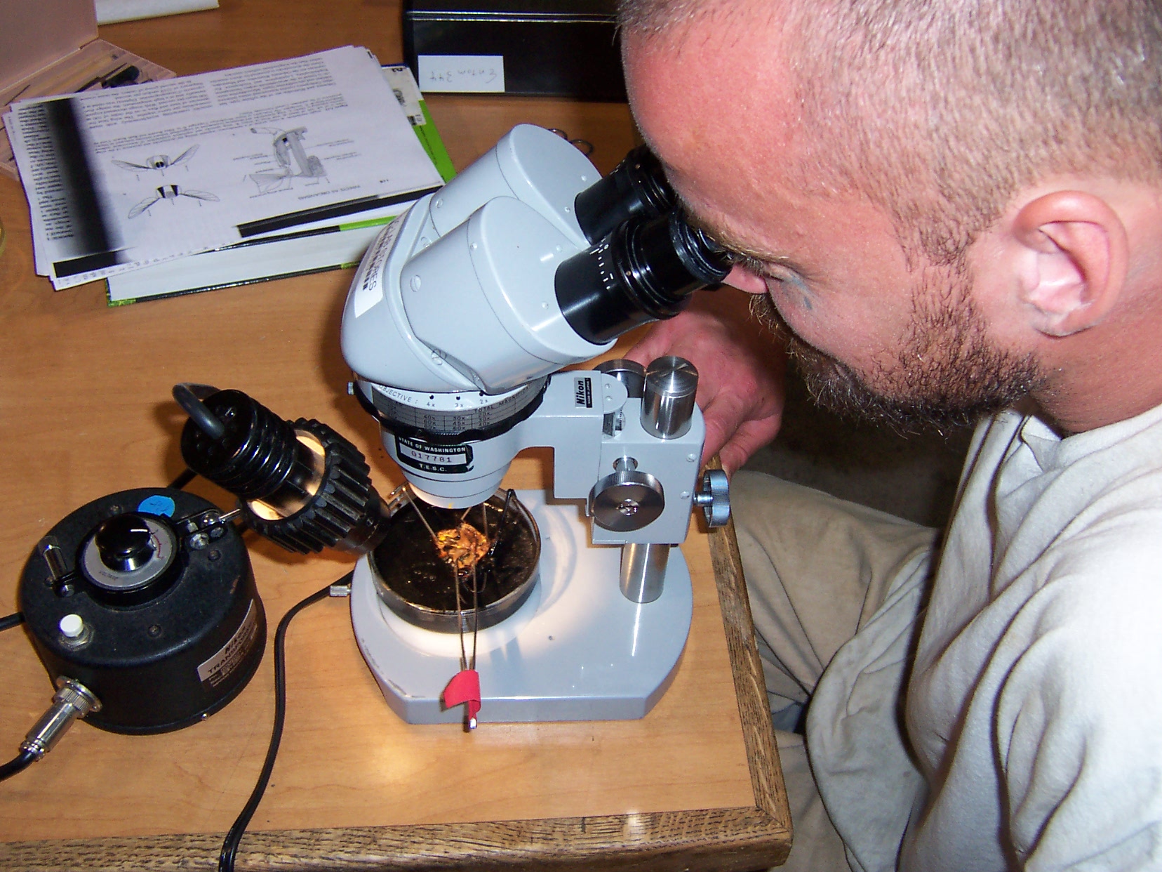Under scientist Sam Hapke’s guidance, inmates hope to design and conduct research projects with publishable results. Often located in rural areas, prisons are uniquely positioned to support the pollination of wild and commercial plants while helping scientists study the alarming threat of bee colony collapse. Photo: Doug Raines.
