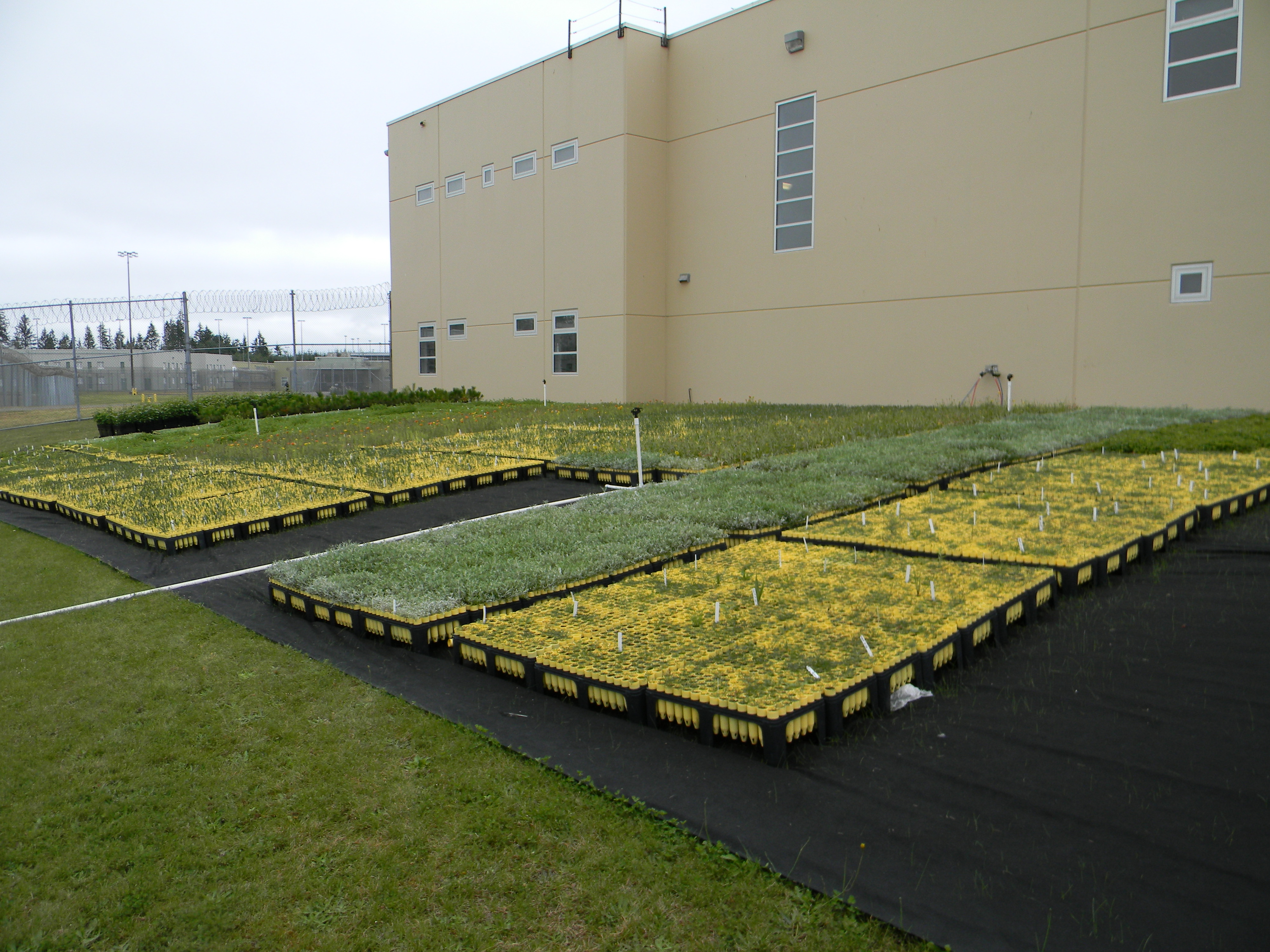 Temporary Home for Prairie Plants