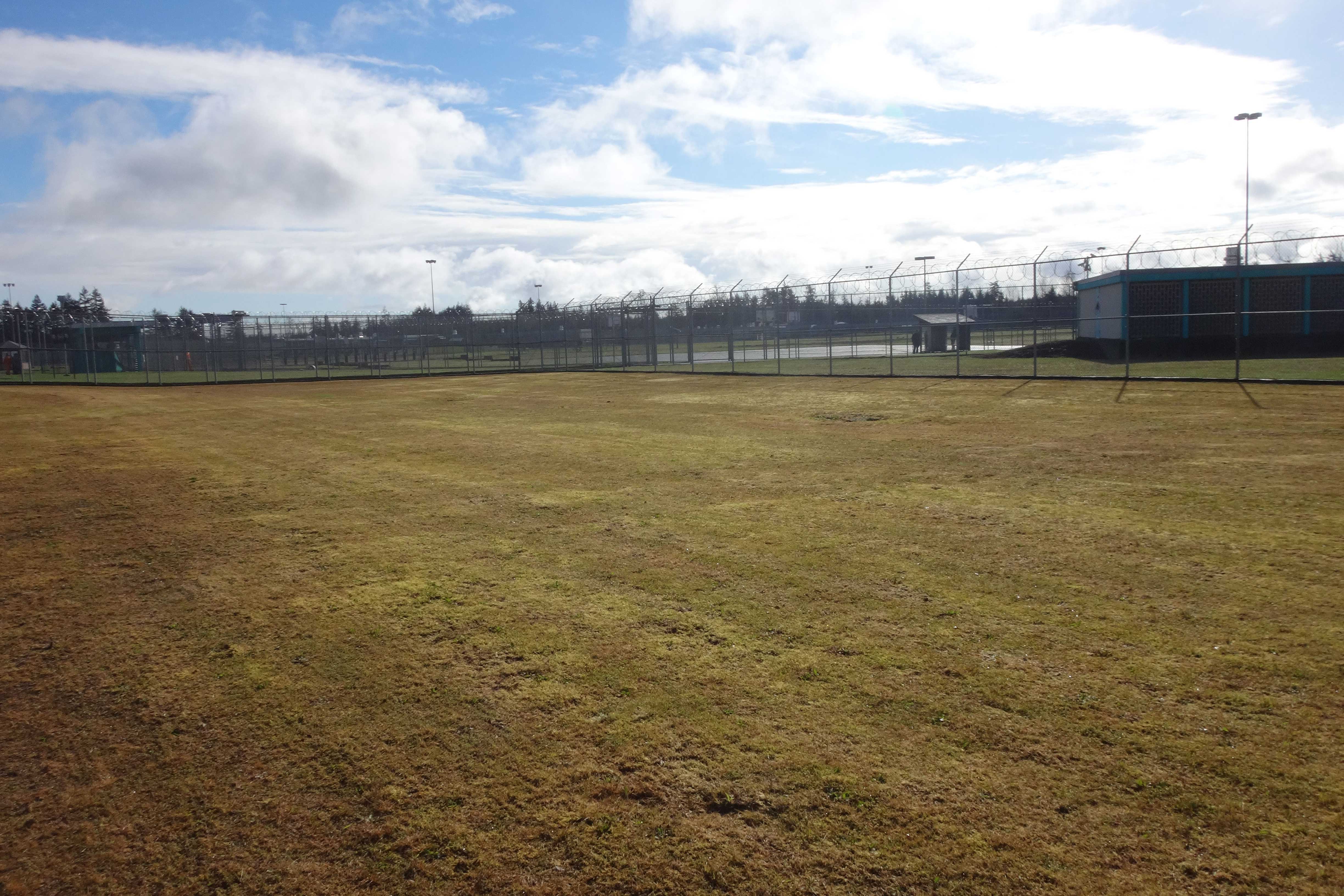 The site at Washington Correction Center (WCC)) that would host the Viola beds.