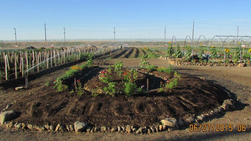 Welcome garden is in bloom!  