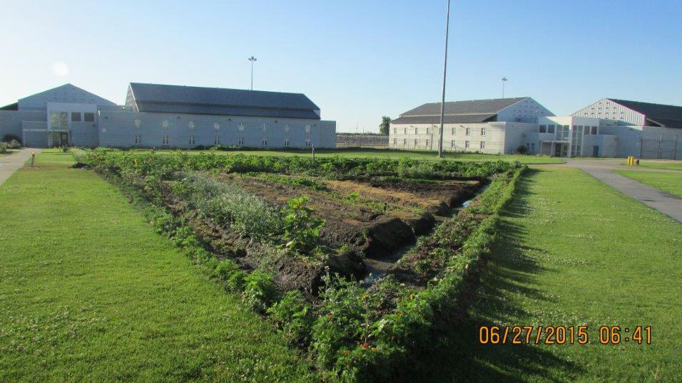 A living unit garden and surrounding grounds are lush and green. 