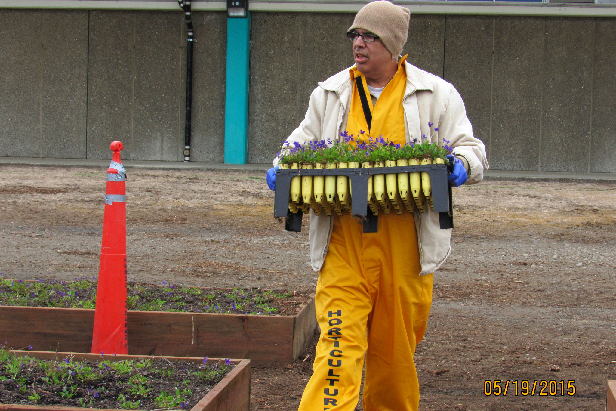 carrying-conetainers