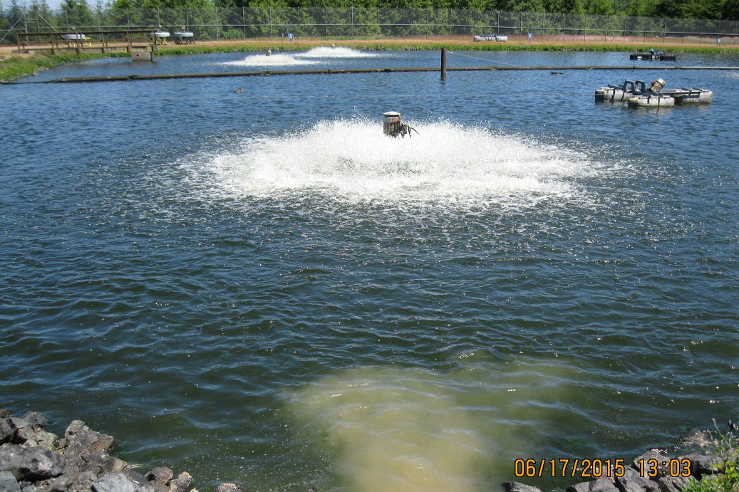 The prison's waste water starts its treatment in a lagoon full of aerators.