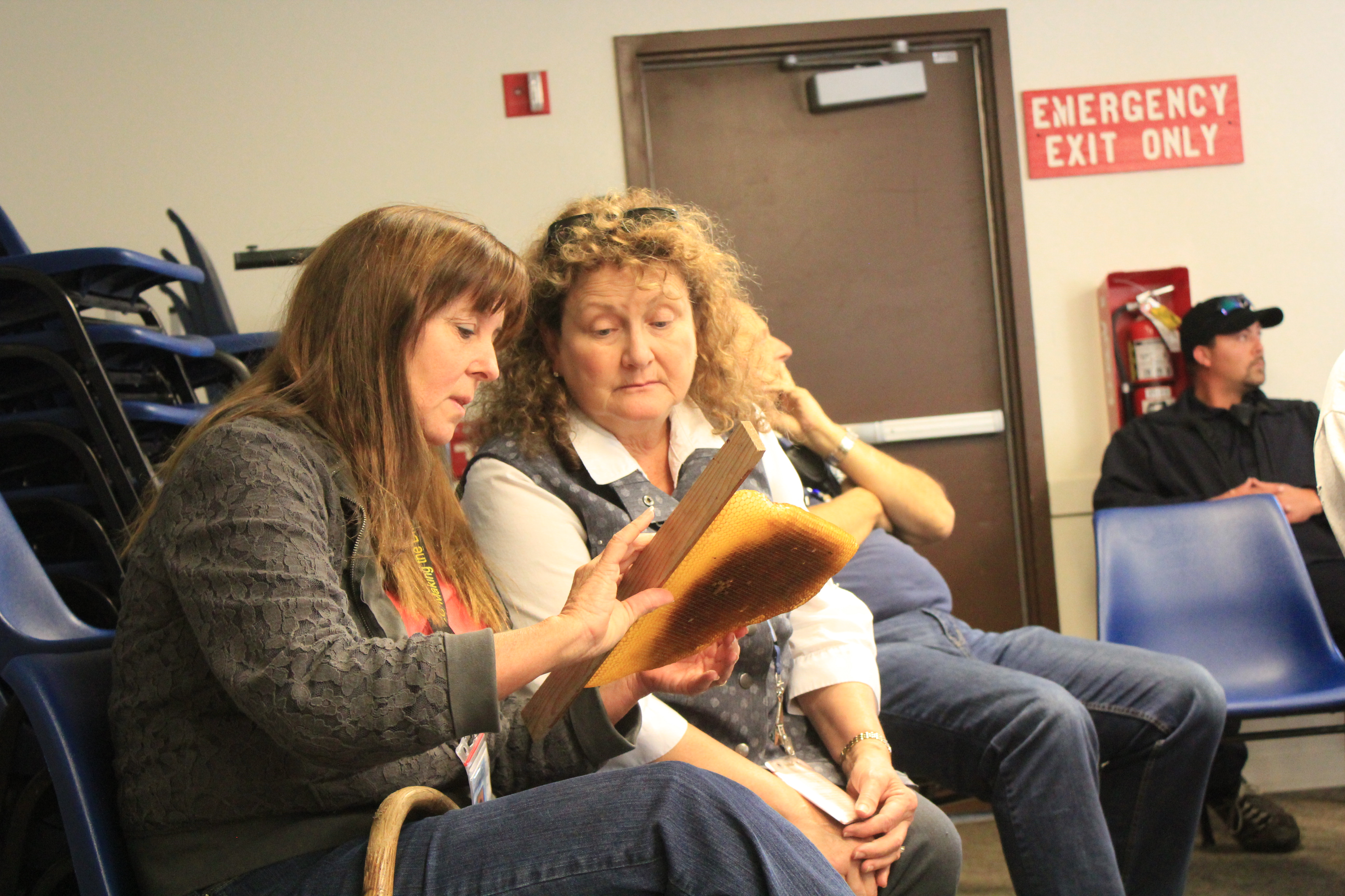 Staff get a closer look at honey comb. Photo by Emily Passarelli.