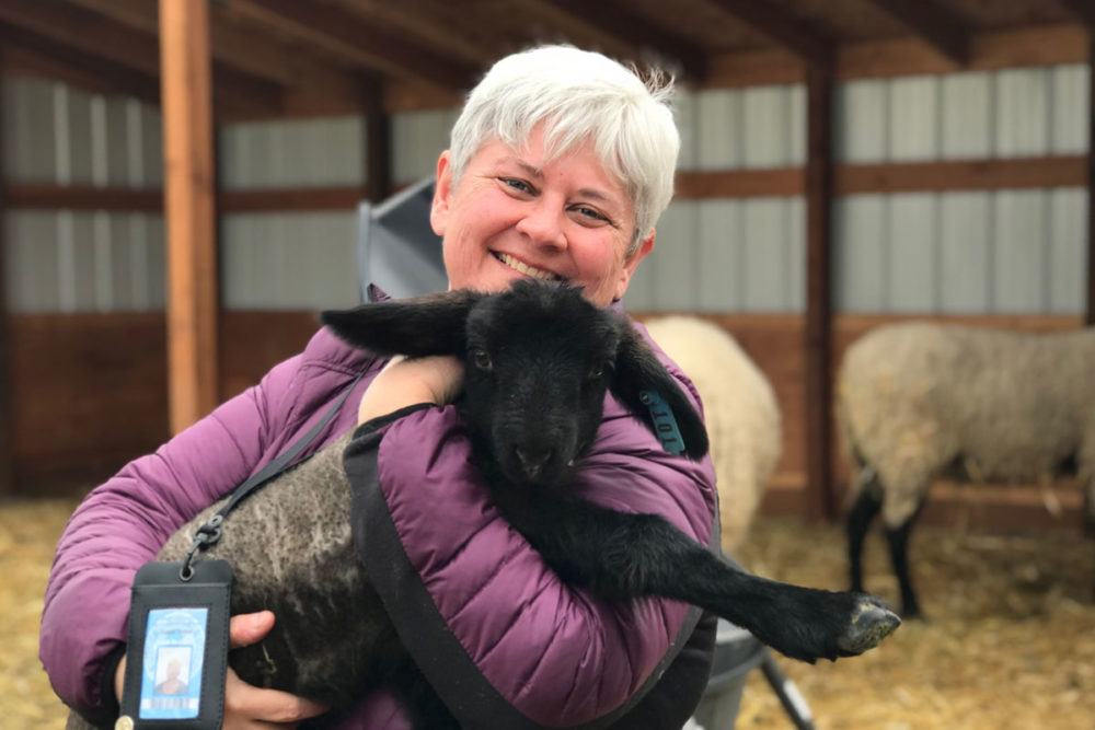 Corrections staff member Donna Hubbs enjoys an armful of Suffolk sheep in the program at Washington State Penitentiary. Photo by WA Corrections Staff. 