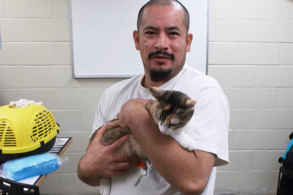 Since 2006, MCC's Special Offenders Unit has hosted a cat program, Purrfect Pals. 800 cats and kittens have been adopted from the program. Photo courtesy of Kathy Grey.