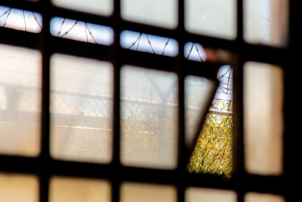 A window in the warehouse that houses Monroe Correctional Complex's compost program opens on to the nearby gardens. Photo by Ricky Osborne. 
