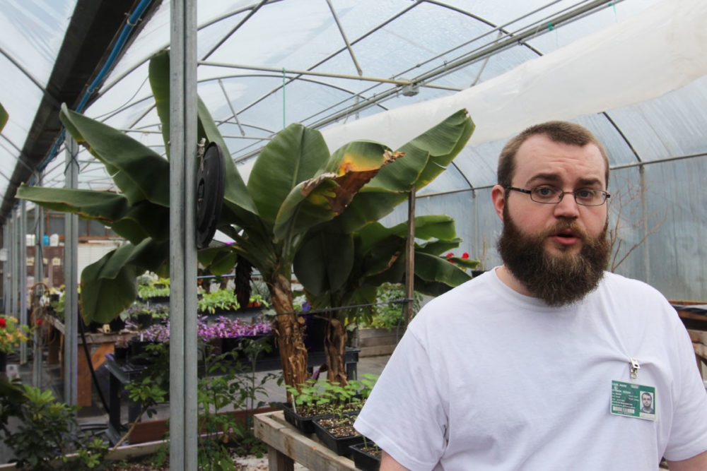 After he releases, greenhouse technician Mark Case hopes to have his own garden -- a place where he can act on the knowledge he’s gained working and learning in the gardens at OCC. Photo by Bethany Shepler.