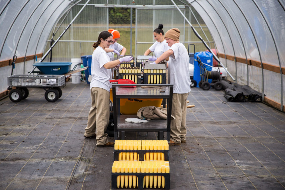 The prairie nursery crew fills containers for seeding at Washington Corrections Center for Women. Photo by Ricky Osborne.