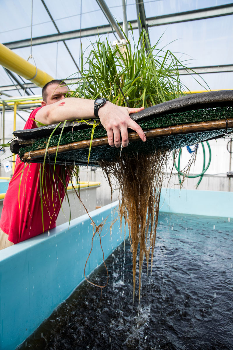 Sustainability In Prisons Project