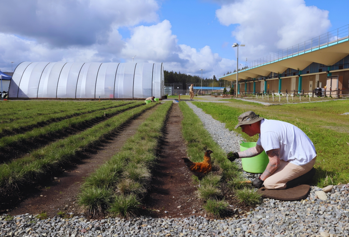 Man Tending Garden with Chicken